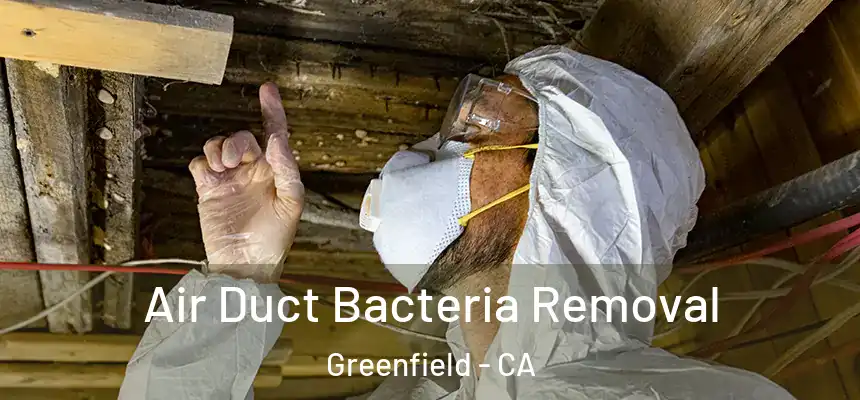  Air Duct Bacteria Removal Greenfield - CA