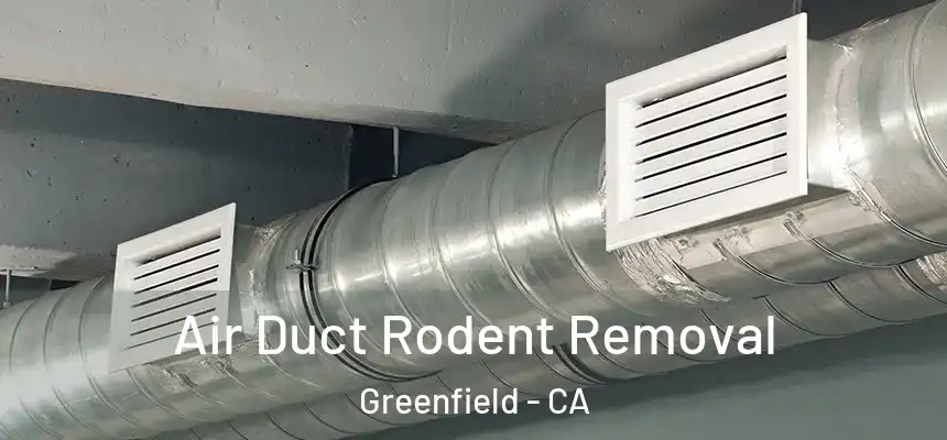  Air Duct Rodent Removal Greenfield - CA