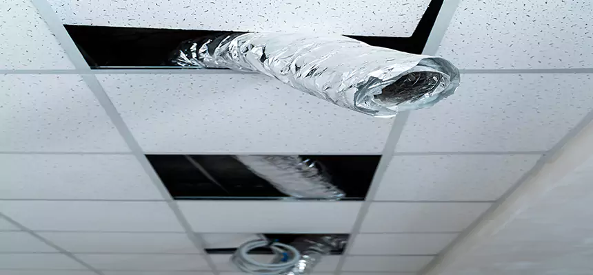 Our Air Duct Pet Hair Removal Services in Greenfield, CA