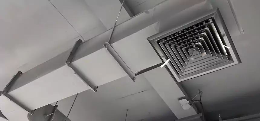 Restorative Allergy Relief Vent Cleaning – Coil, Blower & Housing Detail in Greenfield