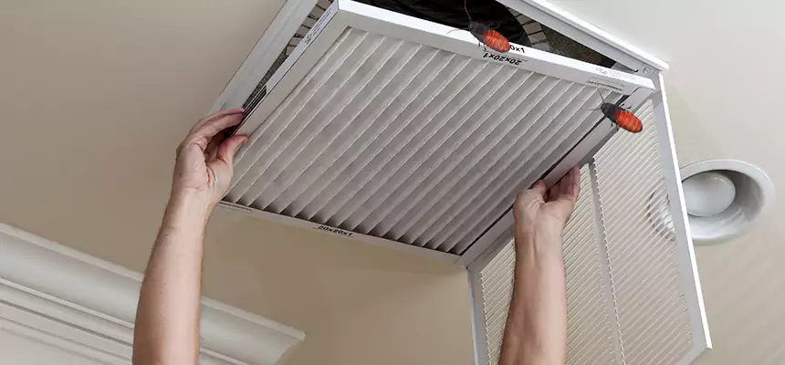 Our Insect Removal from Air Ducts Services in Greenfield, CA