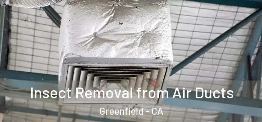  Insect Removal from Air Ducts Greenfield - CA