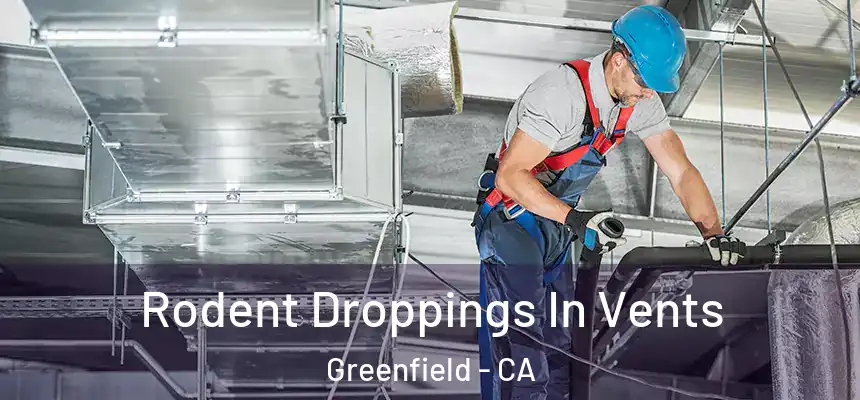  Rodent Droppings In Vents Greenfield - CA
