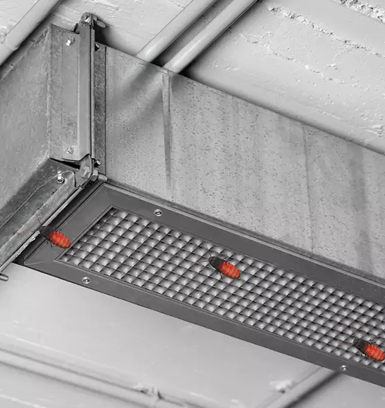 About Air Duct Cockroach Removal in Greenfield, CA