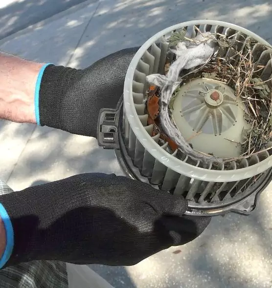 About Air Duct Rat Removal in Greenfield, CA