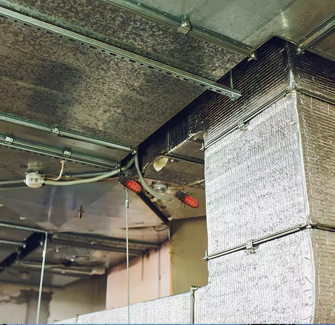 Why Homeowners & Businesses Trust Us in Greenfield, CA?