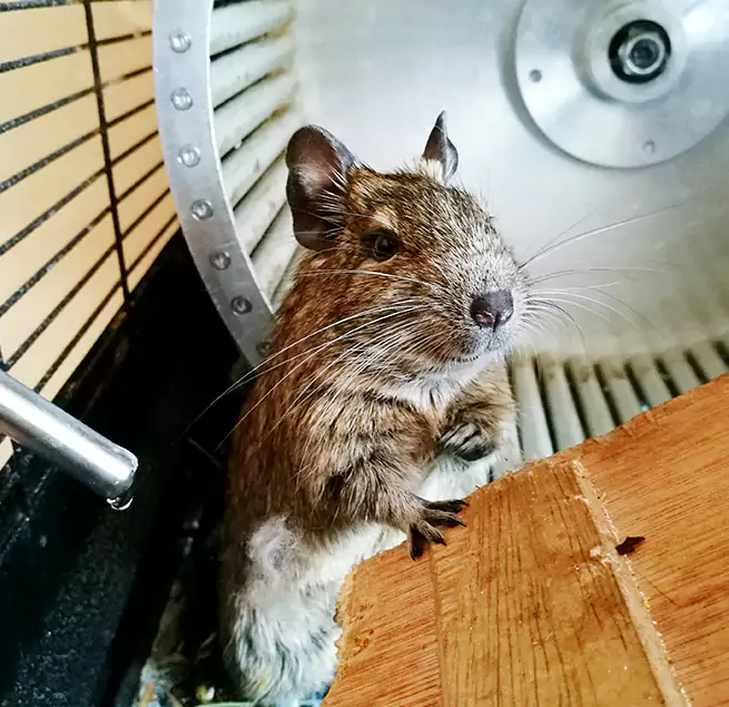 Why Homeowners & Businesses Trust Us Greenfield, CA